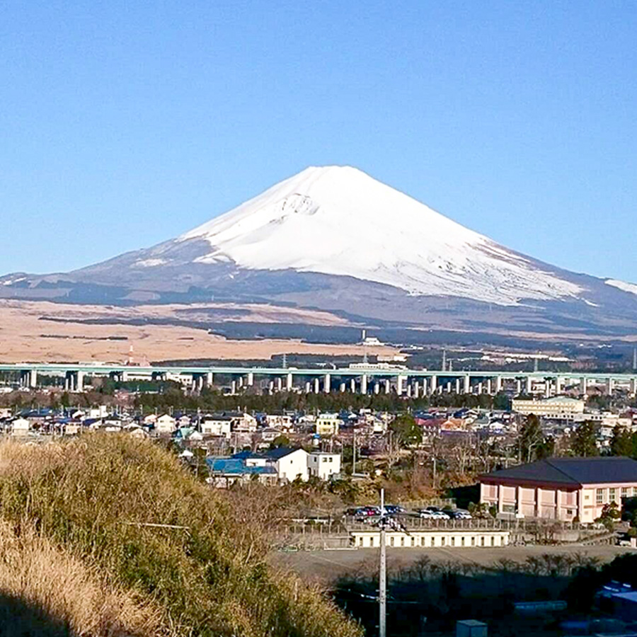 さいとう看板から見える富士山